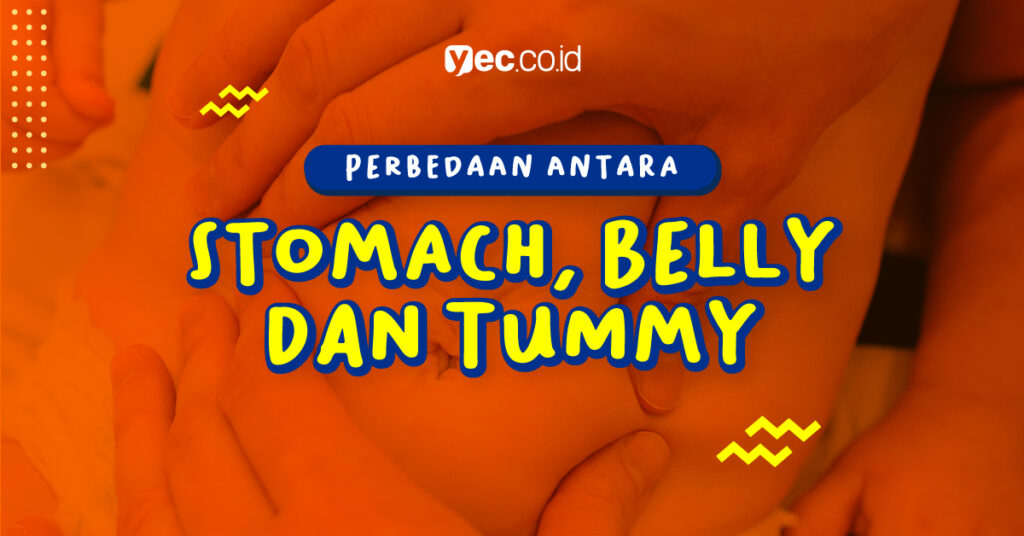 perbedaan stomach, belly dan tummy